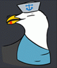 gbbgull