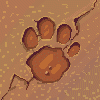 jaguarfootprint