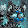 azurewhiskers