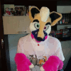 NitroFoXy27