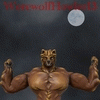 werewolffang13