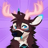 springthedeer