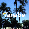 tanabe75