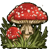 mushroommdw
