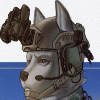 pythonfox