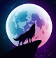 moonlight-haven