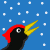 blackietheblackwoodpecker