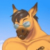 MaverickTheHorse