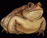 mossm0th