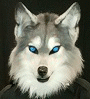beretta-darkwolf