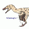 adamraptor