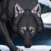blackdragonwolf
