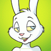 duderabbit