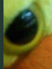 mousiediariteboopollux