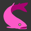 pinksalmon