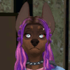 rorahusky