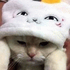 awawertrere