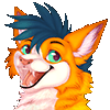 nikithecat