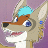 kylethefox908