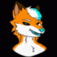 runithefoxy