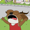 rapoxabr