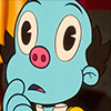 drbongo