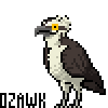 ozawk