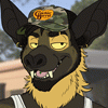 dirtypaws