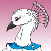 birdguy11