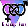 bisexual_furs