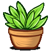 Potted-Plants