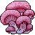 mushroom3ki