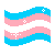 transgenderprideflag