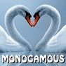 monogamous-furs