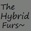 The-Hybrid-Furs