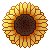 Sunflower.F2U