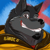 Shade-the-Wolf