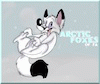 Arctic_foxes_of_FA