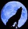estfurrywolf
