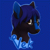 Vek-the-Skunk