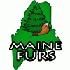 Maine_Furs