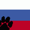 russian-furs