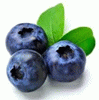 BlueberryFurs