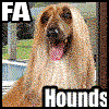 fahounds