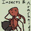 Insect_And_Arachnid_Furs