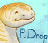 P_Drop
