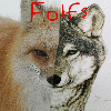folf_furs