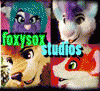 FoxysoxStudios
