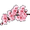 pixelsakurabranch