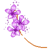 purpleflowersl
